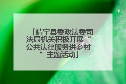 靖宇县委政法委司法局机关积极开展“公共法律服务进乡村”主题活动